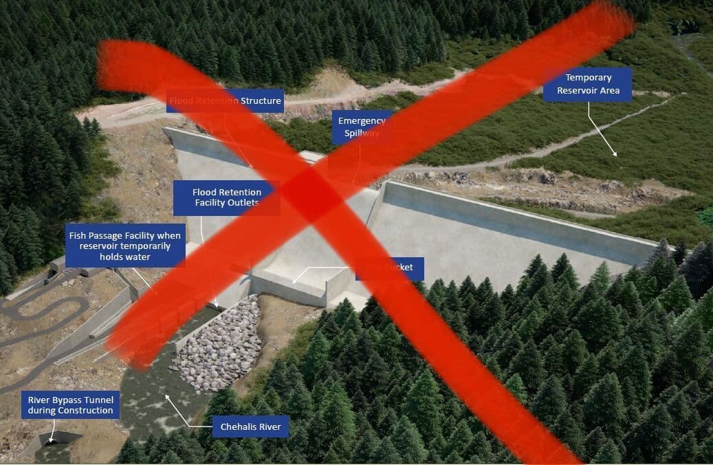 Governor Inslee Directs State Agencies to Cease Chehalis Dam Efforts (WA)