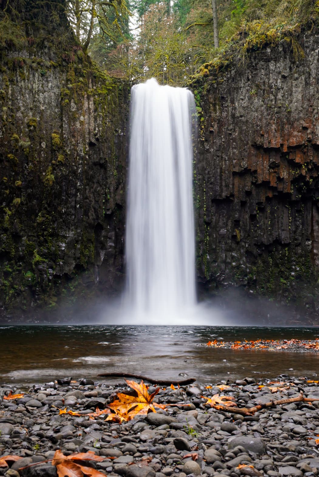 Protect Abiqua Falls: A Rare Opportunity to Keep an Oregon Treasure Public