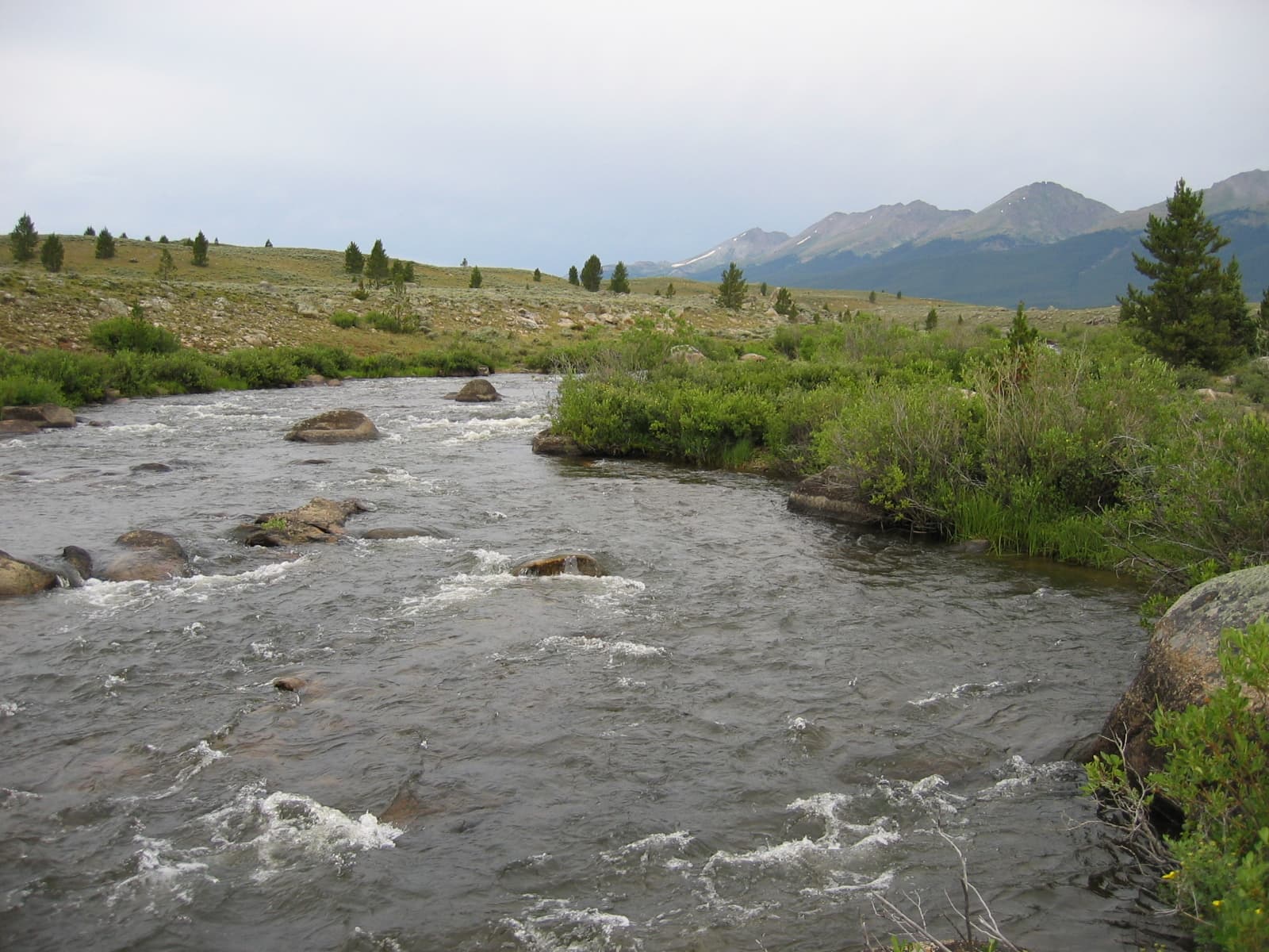 Sign Petition to Protect Water Quality in Colorado’s Rivers!