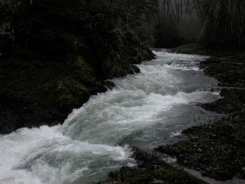 Big decisions coming for Chehalis River–proposed dam, salmon and flood response