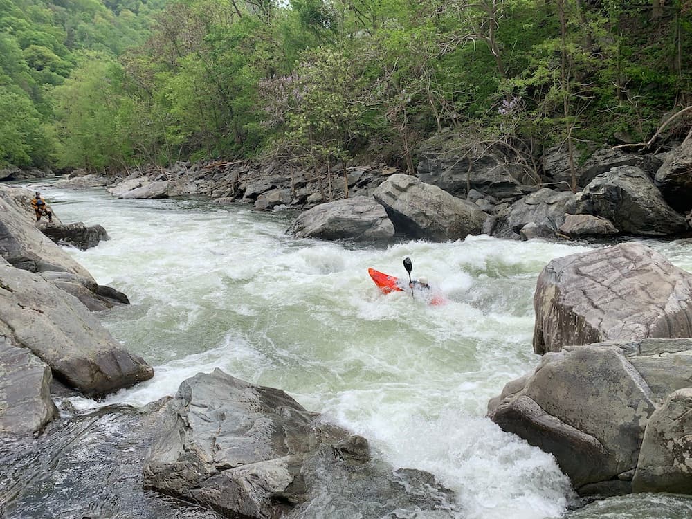 AW Releases Pigeon Dries Flow Survey (NC)