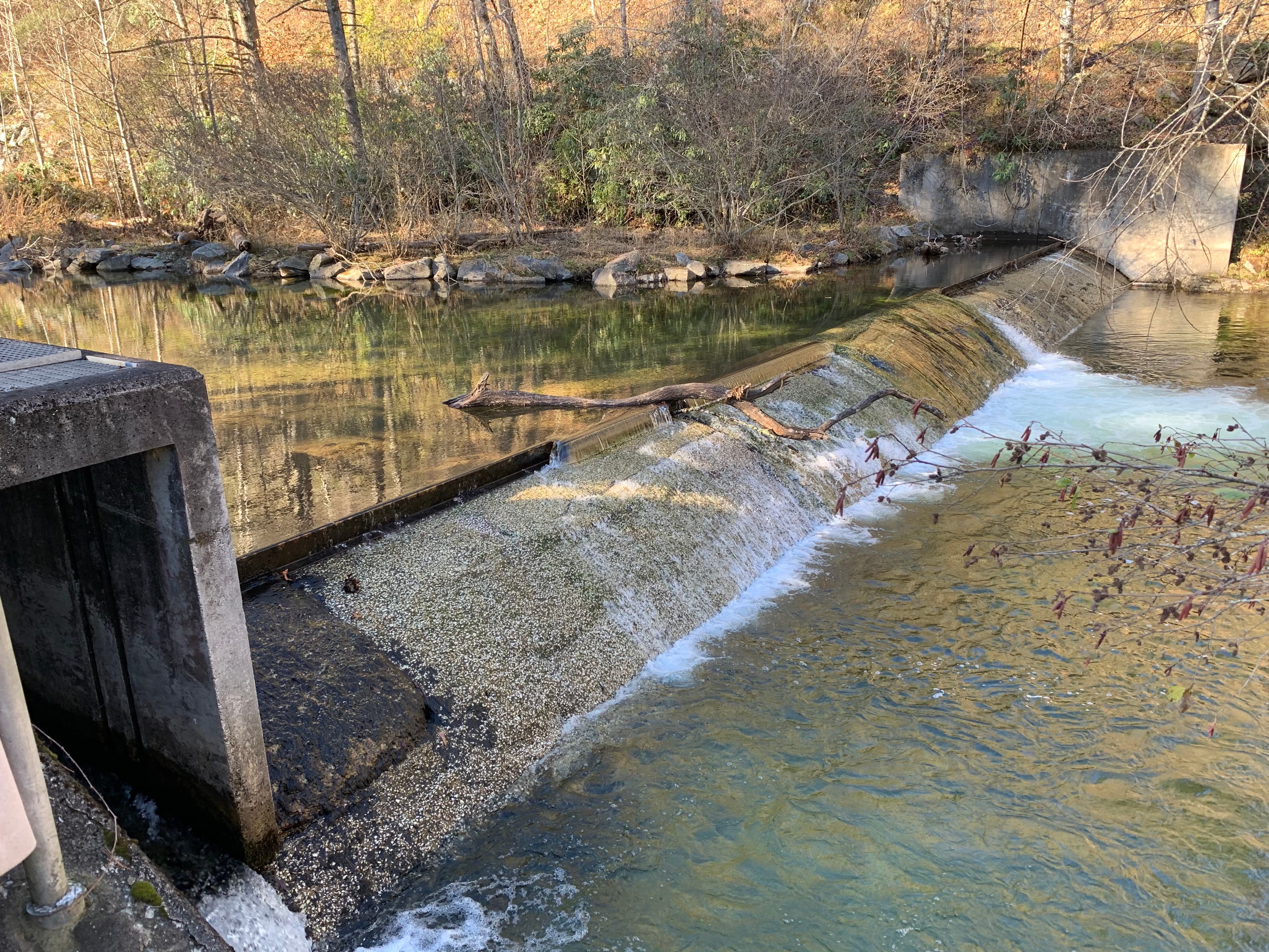 Ask the National Forest Not To Pass on Davidson River Dam Removal (NC)