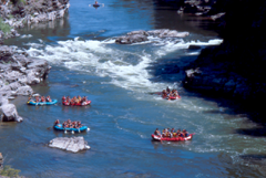 Alberton Gorge to Receive More Protection