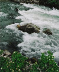 Protection for Snake River Headwaters Proposed