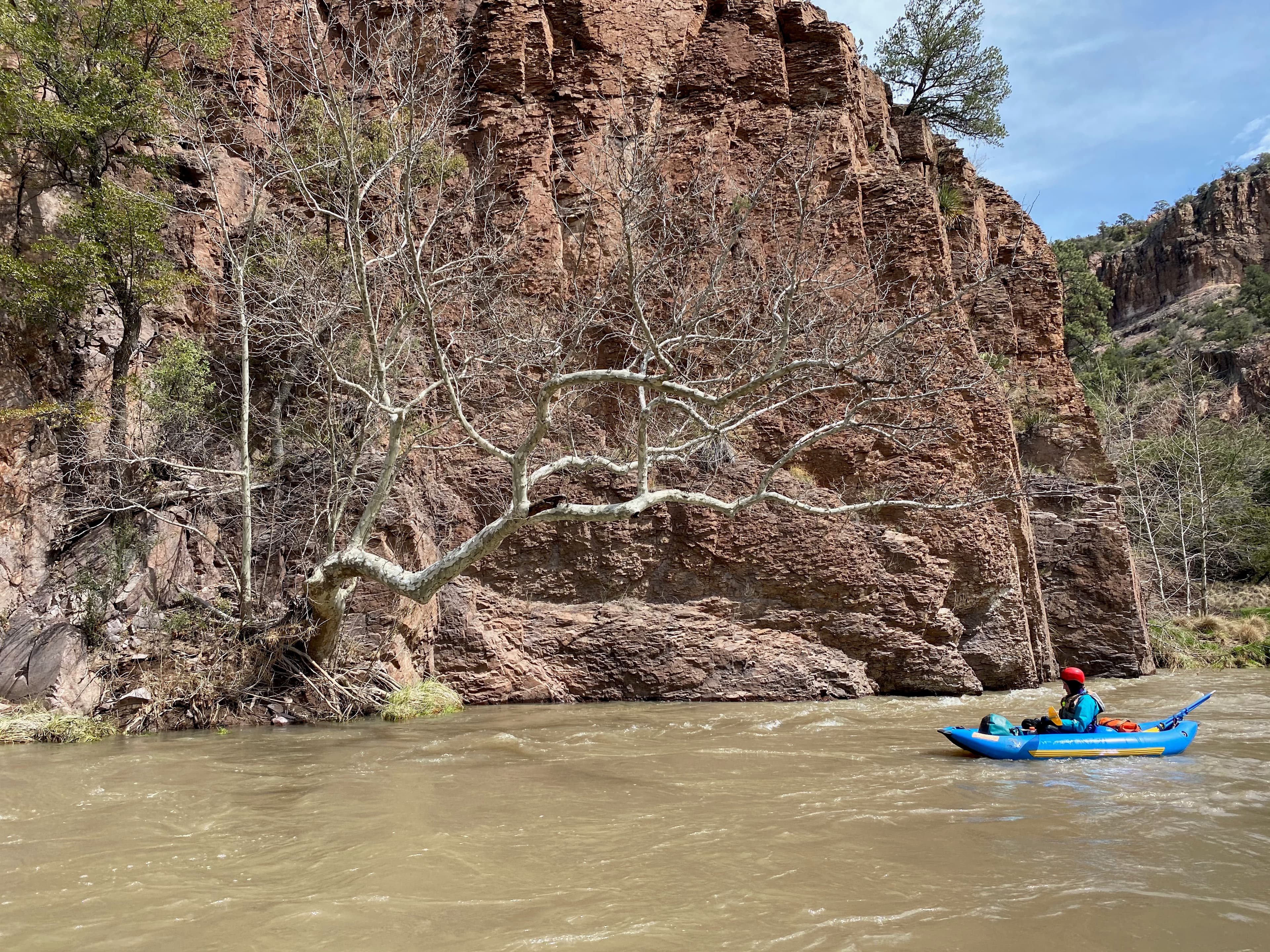 Gila Wild and Scenic River Bill Reintroduced and Gaining Speed (NM)