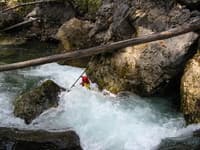 Sullivan Creek Survey and Video (WA)