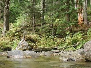 AW Joins Groups in Conserving Key Lands in the Skykomish Valley (WA)