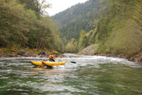 Skagit River, WA – TAKE ACTION