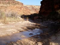 Support Flow Restoration on the Dolores River – Take Action!