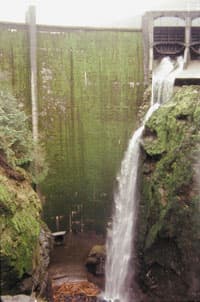 Countdown to Elwha Dam Removal Underway (WA)