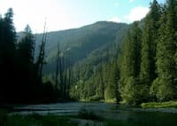 AW Seeks Stream Protection in Idaho Panhandle