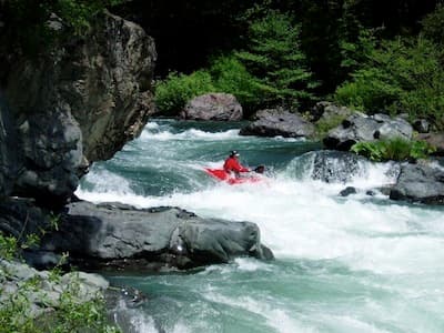 AW Opposes Bureau of Reclamation Proposal to Raise Shasta Dam (CA)