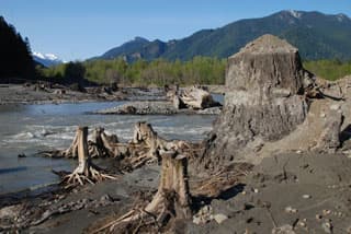 Visiting the Elwha (WA)