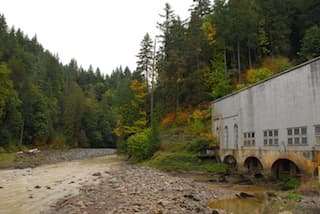 AW Takes Legal Action Against Hydropower Project on Puyallup River (WA)