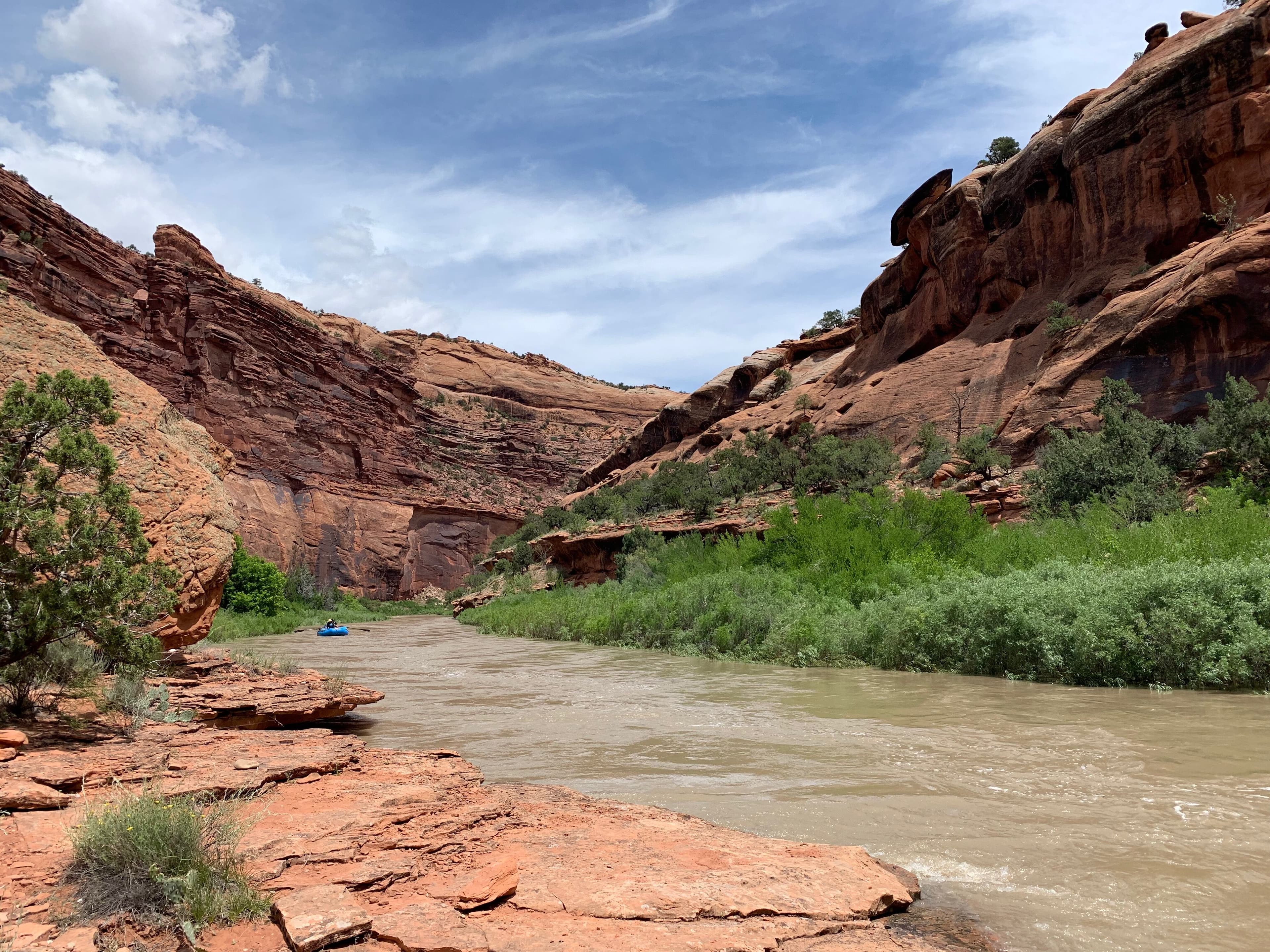 Dolores River (CO) 2019 Release Season Recap