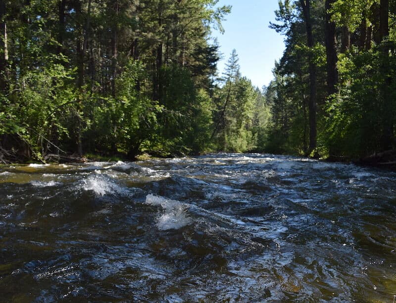 Rattlesnake Creek Dam Removed!