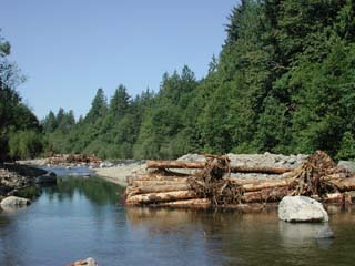 Log Jam Photo